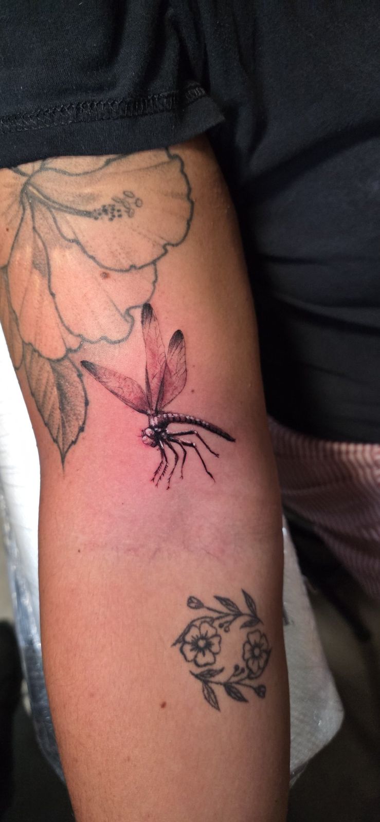 Close view of a fine-line dragonfly tattoo with detailed translucent wings