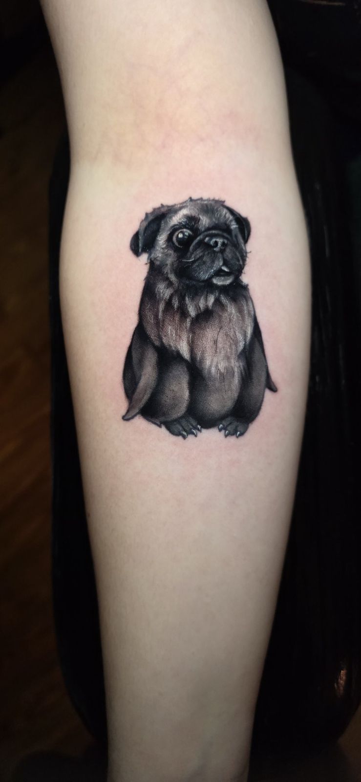 Small black-and-gray pug puppy portrait tattoo on the forearm