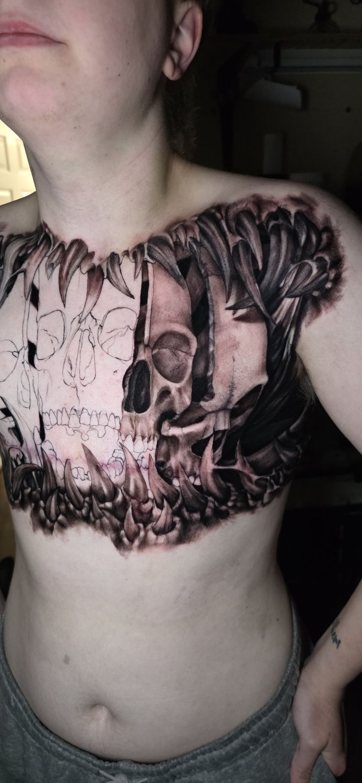 Front view of a large black-and-gray skull and fang chest tattoo in progress